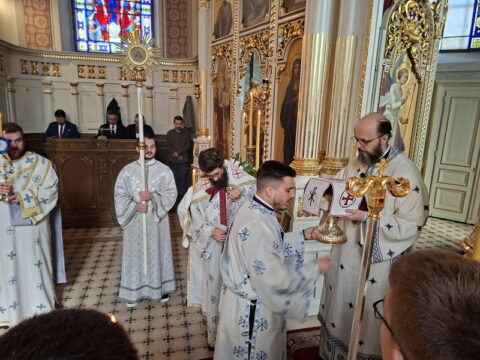 20260315_100444_resize