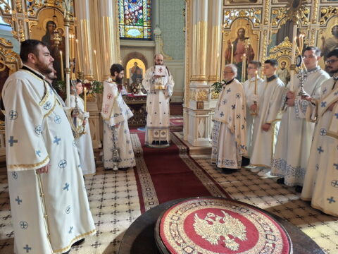 20260315_100601_resize