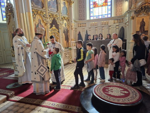 20260315_105728_resize