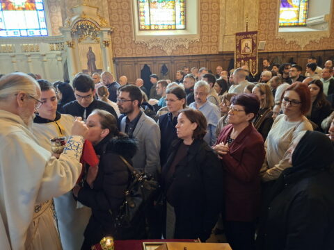 20260315_105753_resize