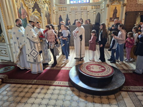 20260315_105837_resize