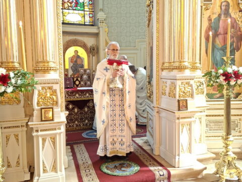 20260315_110841_resize