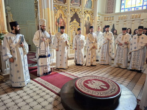 20260315_111226_resize