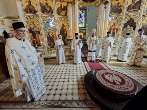 20260315_111239_resize