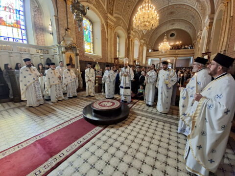 20260315_111317_resize