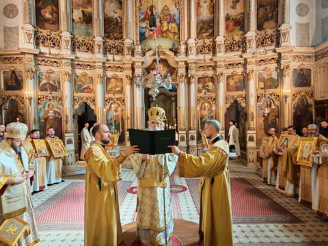 IMG_20260301_114809_resize