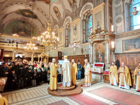 IMG_20260301_114837_resize