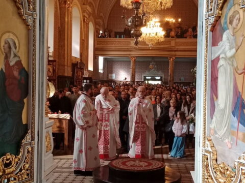 17e62cc0-3336-4e03-99ee-f75eb0778374_resize_resize