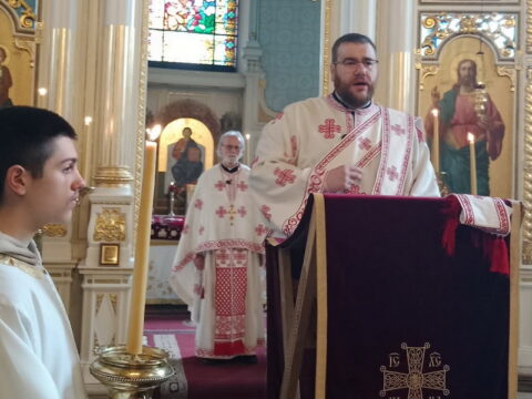 1fc5f939-323a-4067-895f-c6c44833f103_resize_resize