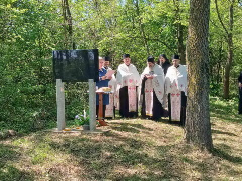 20260424_081407_resize