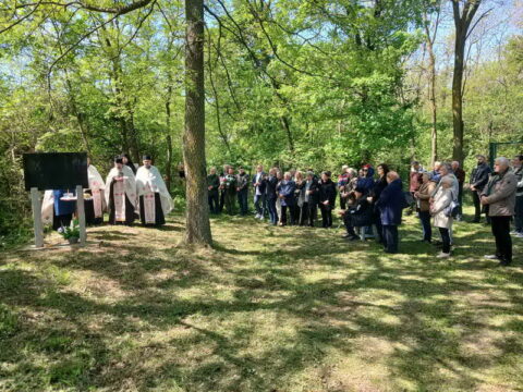 20260424_081535_resize