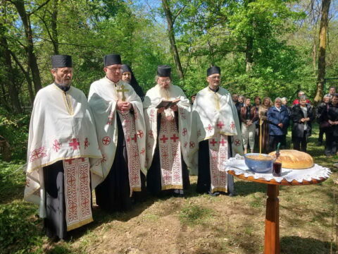 20260424_081558_resize