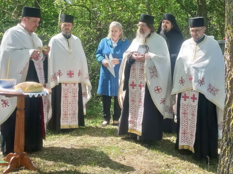 20260424_083012_resize