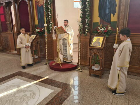 99265814-b077-468c-80e7-e52a55773232_resize_resize