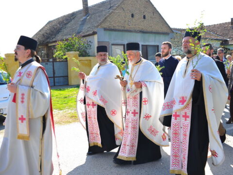 FOTOSIGOR-FACEBOOK+381641182714