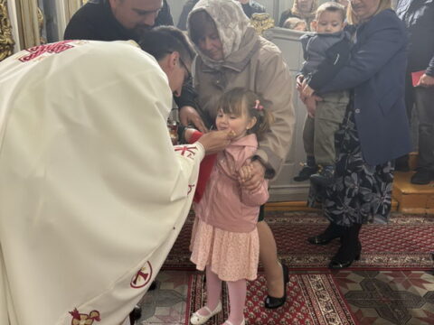 IMG-03c16e145c4786c4ea516e0556f77ac7-V_resize