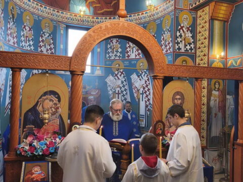 IMG-16eba7df18147903d225c6927e67529b-V_resize