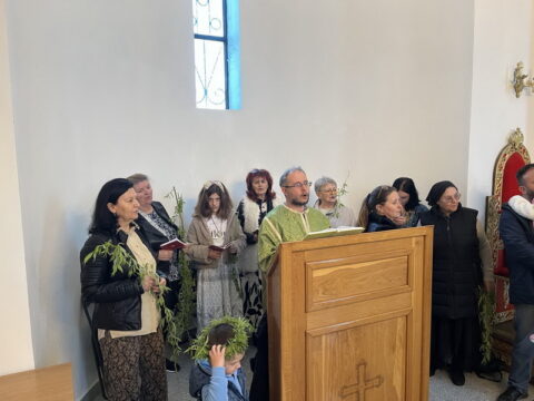 IMG-21a3119262d0f5d57724a19a12d2a62c-V_resize