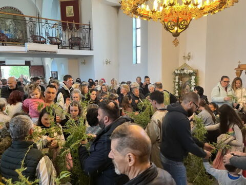 IMG-2915608be59cabc24c09b9b6d143f5ed-V_resize