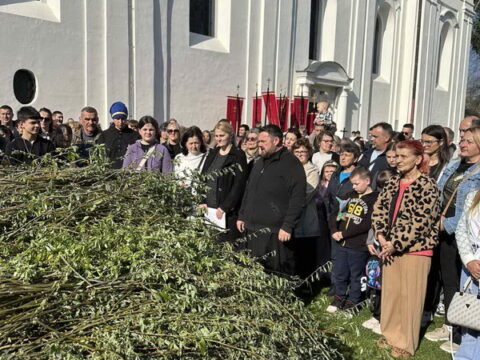 IMG-2e7eb2581bc07e504a71318cdcc053b6-V_resize