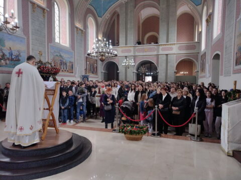 IMG-3ced1a0409dbd560b915496f6f3387d0-V_resize