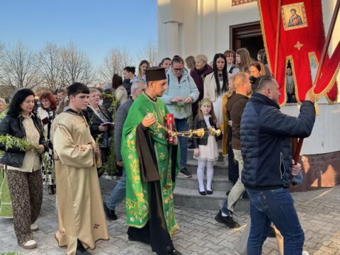 IMG-41da974cd633e54f8480086e6606a0b9-V_resize