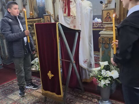 IMG-45efc5581615537d83fcd552a848c239-V_resize