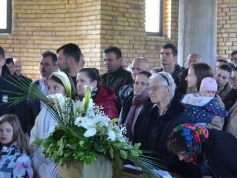 IMG-6bd398eda6853f7b8713befba72b48b1-V_resize