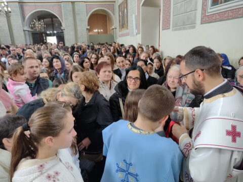 IMG-6f6d10fd282e6a347fa96f8de9792daf-V_resize