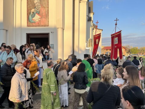 IMG-a34de69107fd6c0fda1dda5558ec7159-V_resize