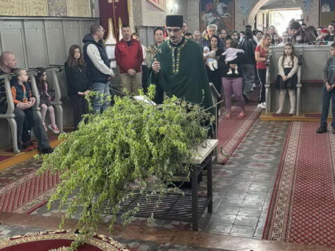 IMG-ad99c2510b3336ca11f360a3ef9c82b1-V_resize