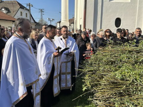 IMG-c1005d4cfaaf4974c6cca6947576bca1-V_resize