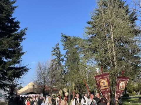 IMG-c8c05ed0e6ce2735a983ce4c97e76e53-V_resize