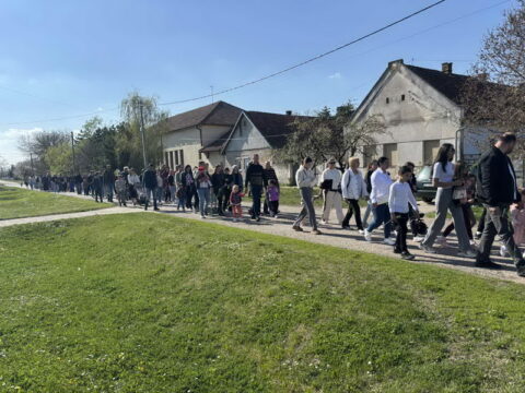 IMG-cdae48d8e48cc281d3611a0a431fcf44-V_resize