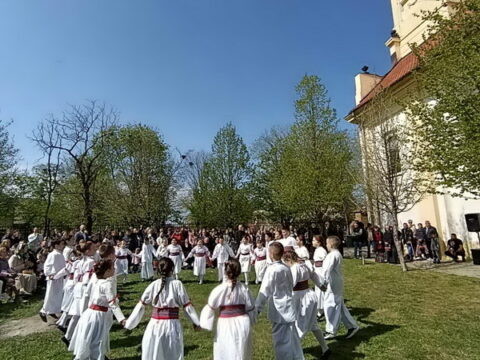 IMG-cfa6405046aa03752055a37c902ea67f-V_resize