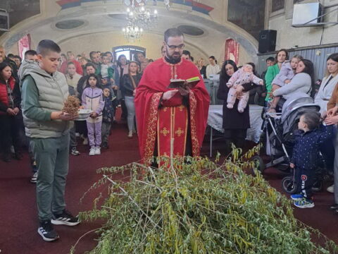 IMG-e6a37c927d126b901a93841282a17c36-V_resize