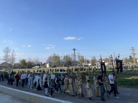 IMG-ed07d8cb62488ce5711bbf81f92f78e2-V_resize