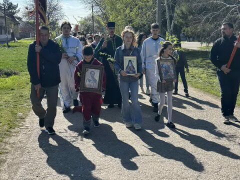 IMG-feed561eed4ba833938a1ec70310a645-V_resize