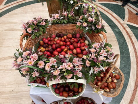 IMG_0410_resize_resize