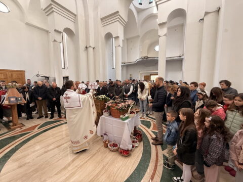 IMG_0424_resize_resize