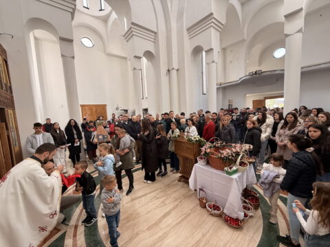 IMG_0431_resize_resize