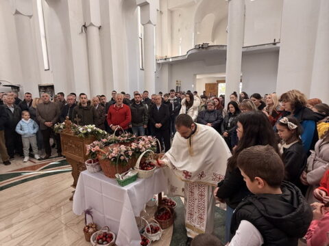 IMG_0438_resize_resize