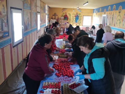 IMG_20260410_101544_resize