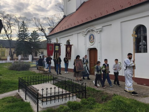 MVIMG_20260404_174615_resize