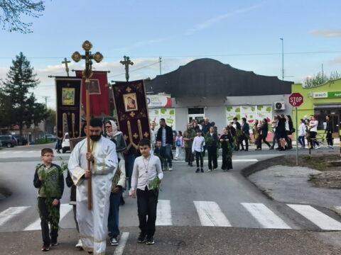 MVIMG_20260404_175116_resize