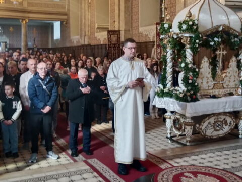 d595e32d-5122-4dcf-8bdd-4bb335ad884e_resize_resize