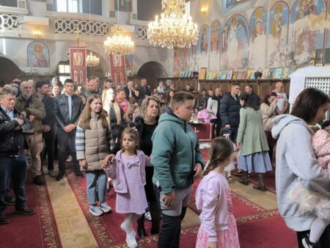 viber_image_2026-04-12_10-33-39-800_resize