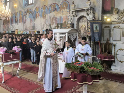 viber_image_2026-04-12_10-33-42-315_resize