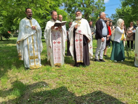 1000004504_resize