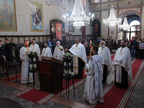 1000004528_resize